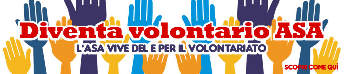 volontariato